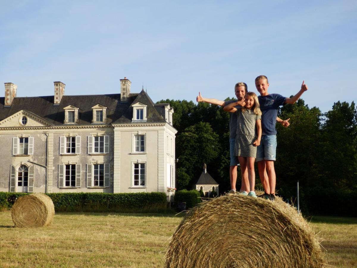 Château La Mothaye Les Bois-d'Anjou Ngoại thất bức ảnh