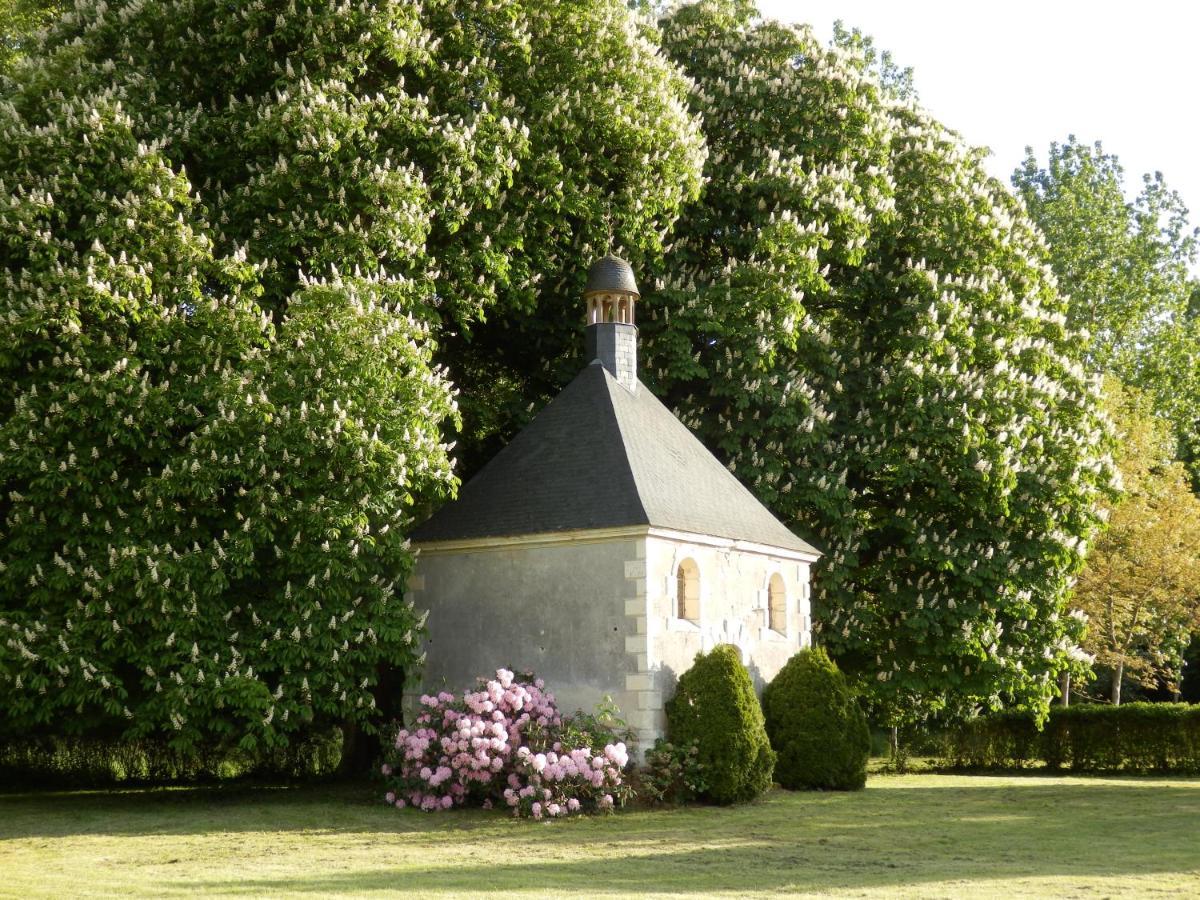 Château La Mothaye Les Bois-d'Anjou Ngoại thất bức ảnh