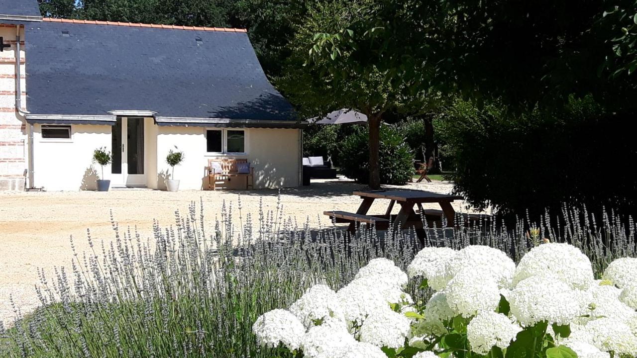 Château La Mothaye Les Bois-d'Anjou Ngoại thất bức ảnh