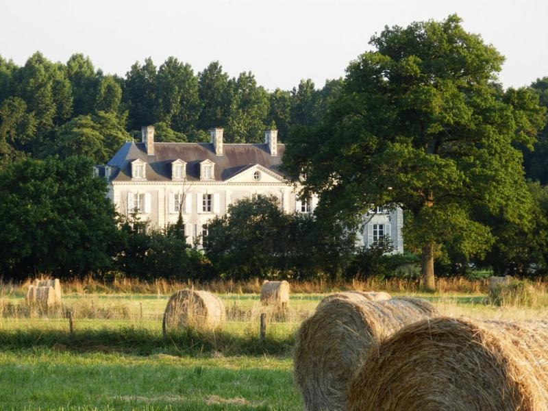 Château La Mothaye Les Bois-d'Anjou Phòng bức ảnh
